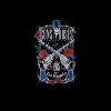 Guns n Roses paradise city