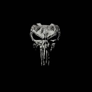 Punisher Skull